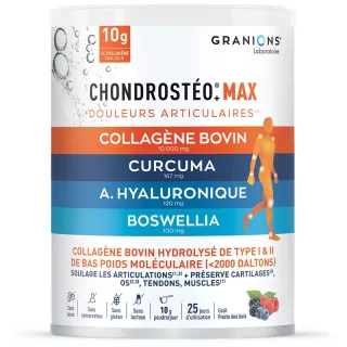 Chondrostéo+ Max douleurs articulaires Fruits des bois Granions - 226g