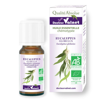 Huile essentielle eucalyptus globulus bio Valnet