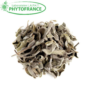 Sauge officinale feuille Bio Phytofrance - Confort digestif et féminin - 50g