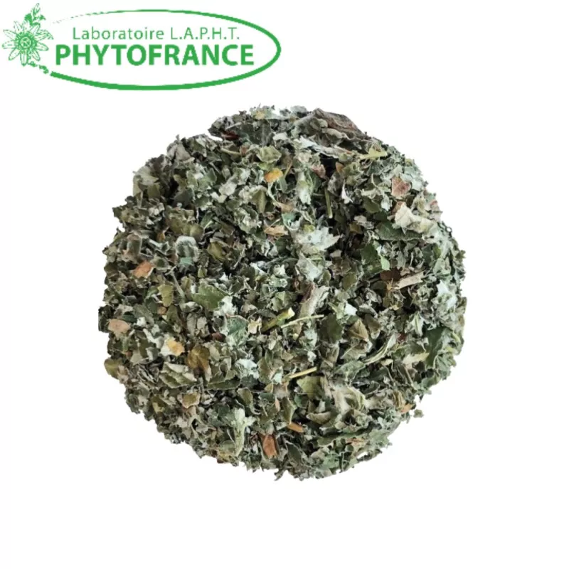 Framboisier feuille Bio Phytofrance - Confort digestif et bien-être féminin - 50g