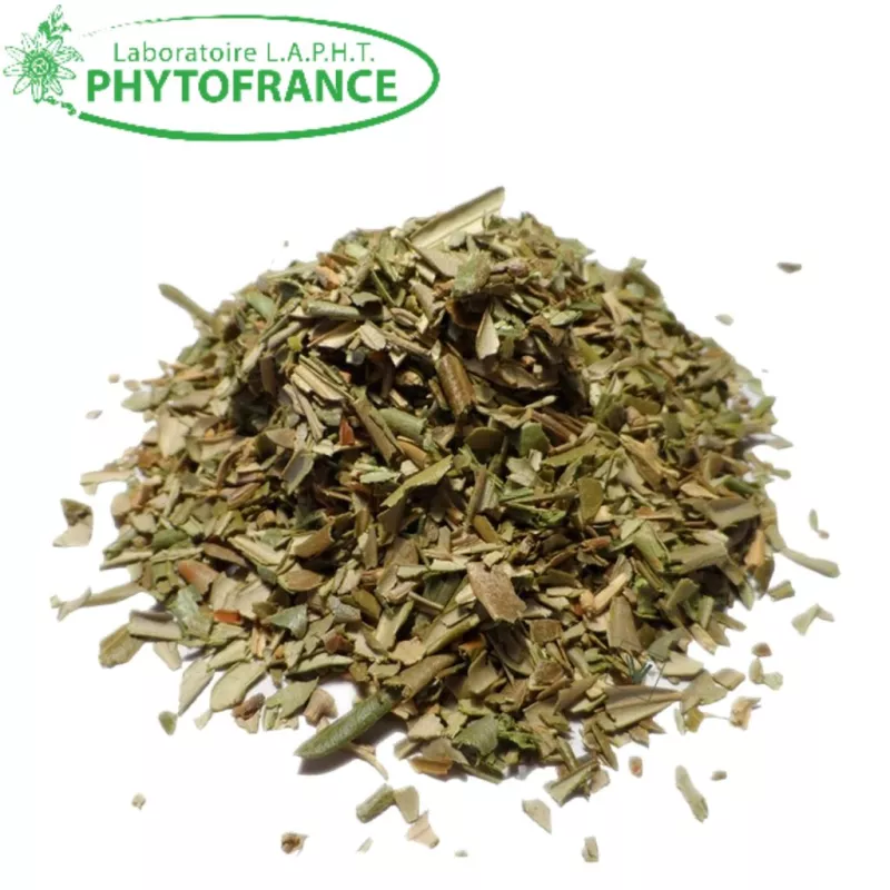 Olivier feuilles Bio Phytofrance - Équilibre cardiovasculaire - 50g