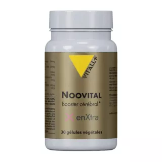 Noovital Vit'all+ - Mémoire et concentration - 30 gélules