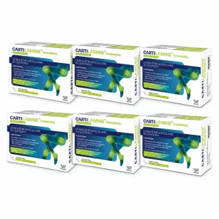 Cartilamine Chondro E-Sciences - Gêne articulaire - 6 x 60 tablettes