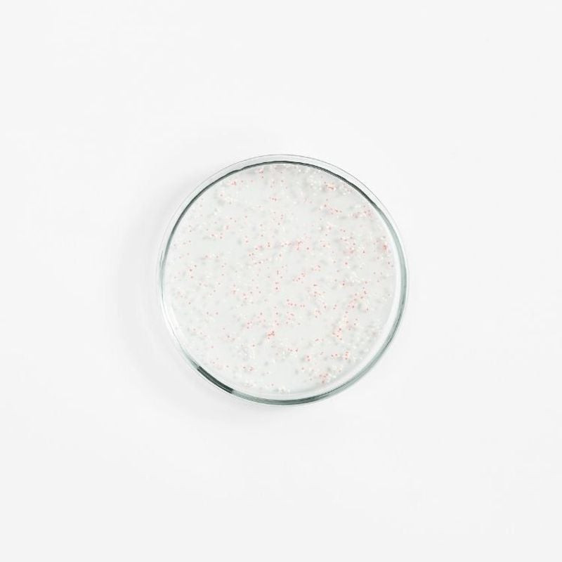 Gros plan sur la texture du gel exfoliant ultra-hydratant Topicrem en boîte de Petri, montrant un ge