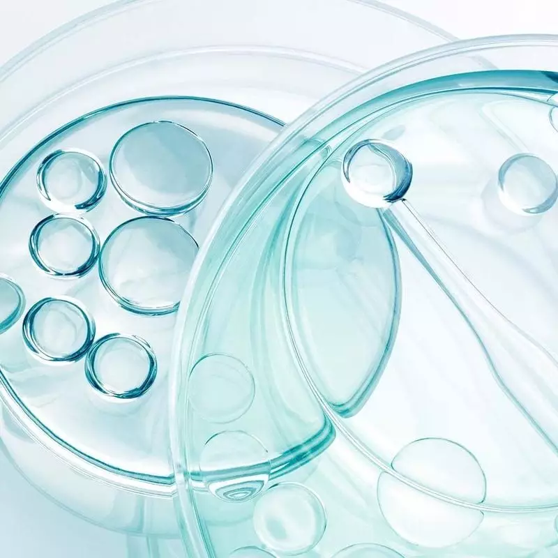 Gros plan de boîtes de Petri avec gel clair et bulles, inspiré de la science (78 caractères)