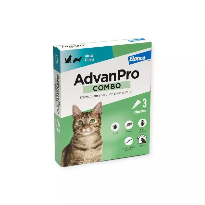 Packshot d'AdvanPro Combo spot-on antiparasitaire pour chats et furets, montrant la boîte avec trois