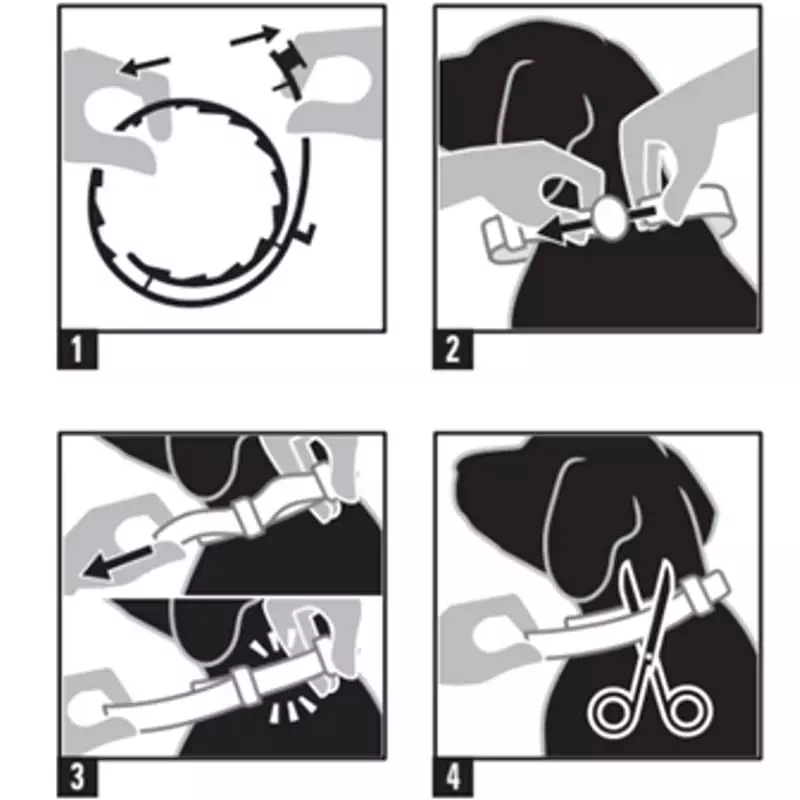 Image détaillée du collier Clément Thékan Seresikan sur un chien, montrant l'ajustement et l'utilisa