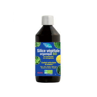 Silice végétale organique concentrée et dynamisée Bio Phytofrance - 1L