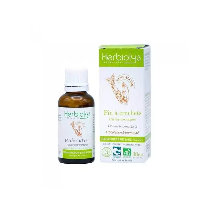 Macérât de bourgeons de Pin à crochets bio Herbiolys, flacon 30 ml avec compte-gouttes, pour articul