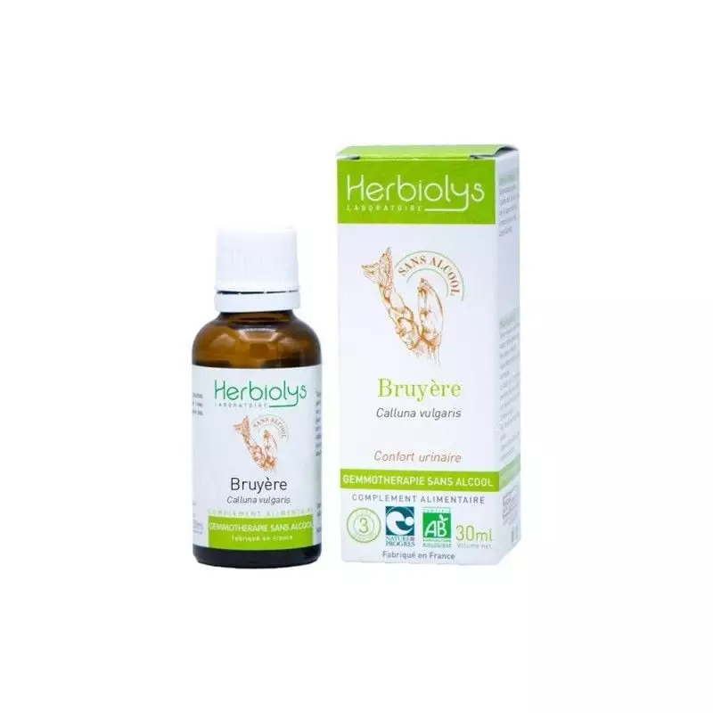 Macérat de jeunes pousses de bruyère bio sans alcool par Herbiolys, flacon de 30 ml sur fond blanc.