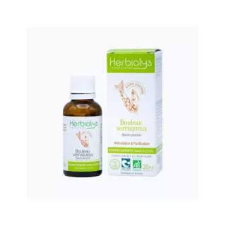 Herbiolys Gemmo Bouleau Bio - Sans Alcool, Détoxifiant Naturel 30ml