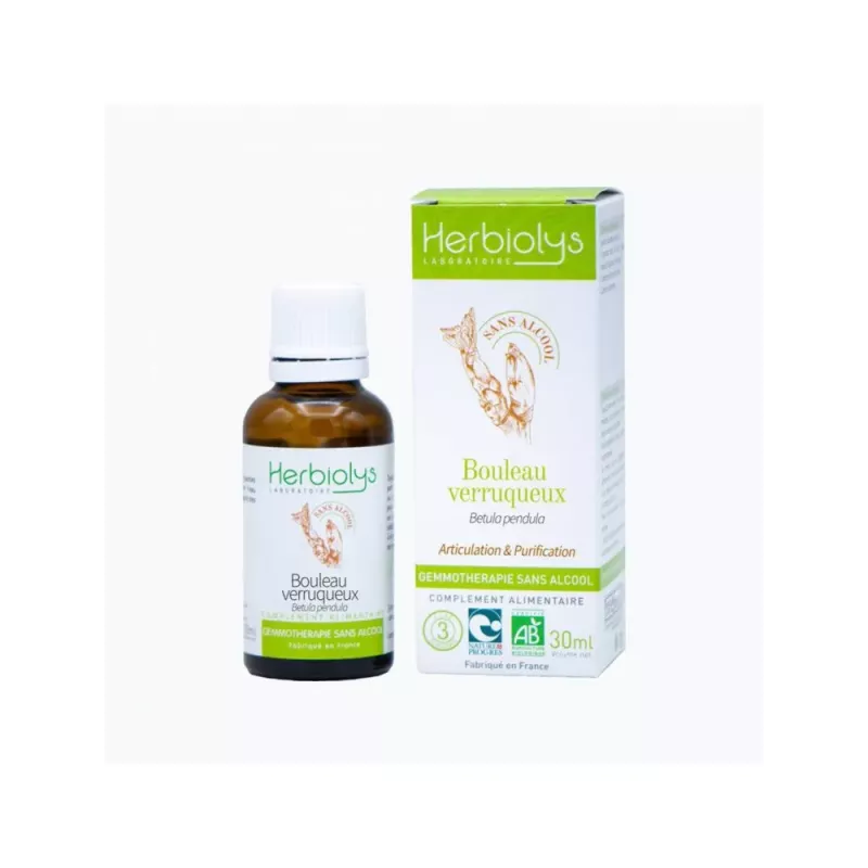 Herbiolys Gemmo Bouleau Bio - Sans Alcool, Détoxifiant Naturel 30ml