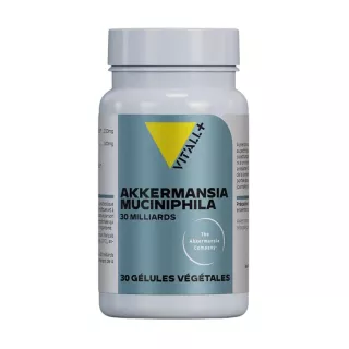 Akkermansia muciniphila MucT™ 30 milliards Vit'All+ - Digestion & transit - 30 gélules végétales