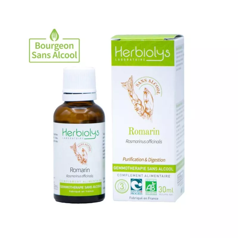 Macérat Romarin Bio sans alcool Herbiolys Gemmothérapie - Confort digestif et hépatique - 30ml