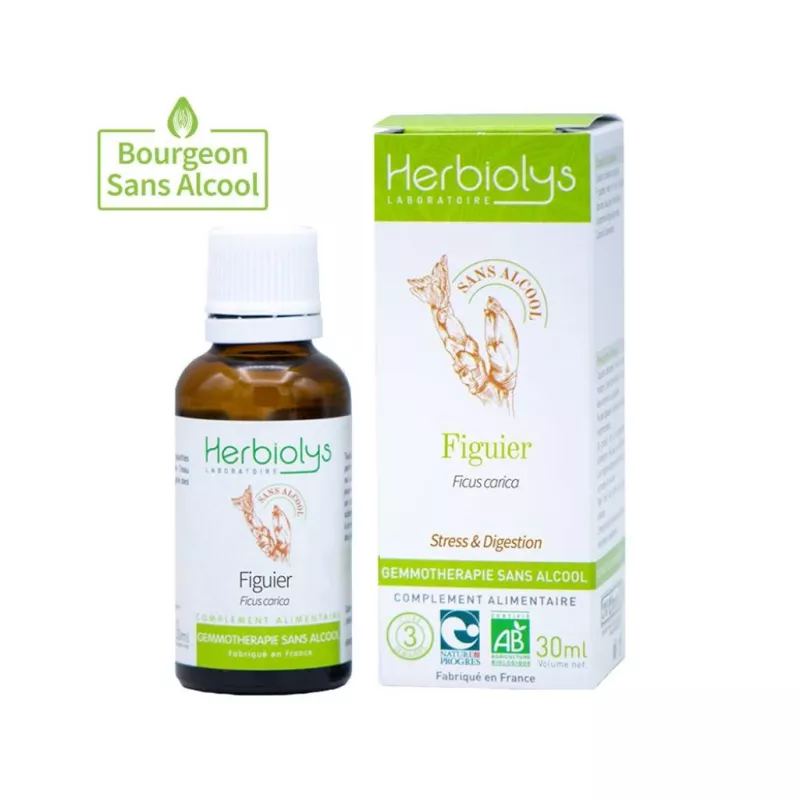 Macérat Figuier Bio sans alcool Herbiolys Gemmothérapie - Équilibre émotionnel & confort digestif - 30ml