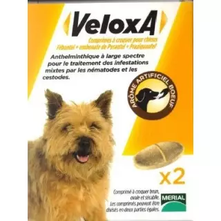 Veloxa Vermifuge Chien -17,5kg Goût Boeuf 2cp