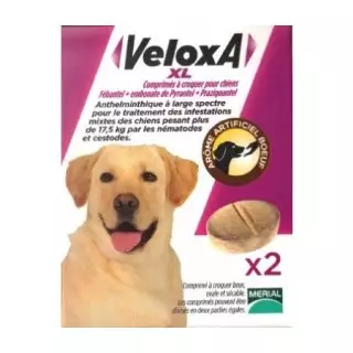 Veloxa XL Vermifuge Chien +17,5kg Goût Boeuf