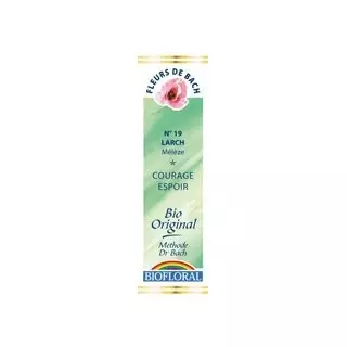 Mélèze / Larch n°19 compte gouttes 20ml