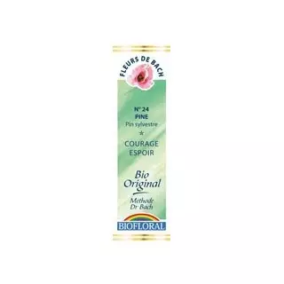 Pin sylvestre / Pine n°24 compte goutte 20ml