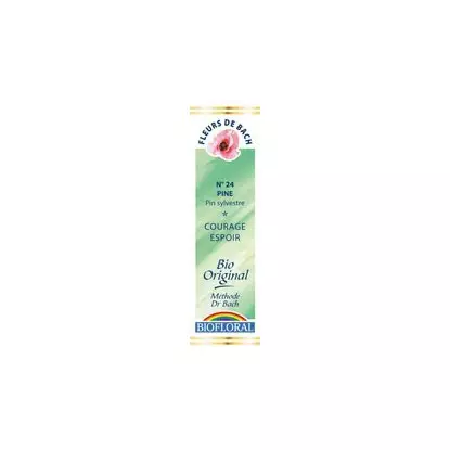 Pin sylvestre / Pine n°24 compte goutte 20ml